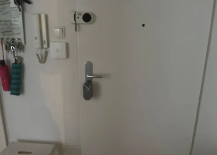 Feel * Франкфурт-на-Майне